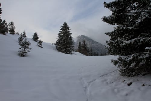 Die Hochries