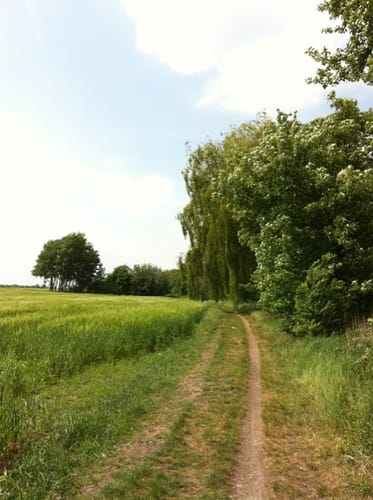Thekla nach Lützschena