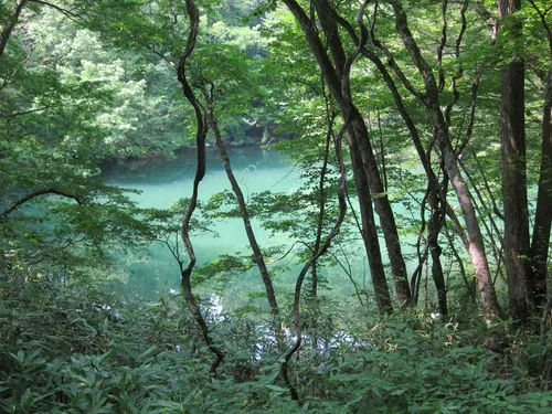 静かな湖 破池（十二湖） - hikes and trails to get you there | AllTrails