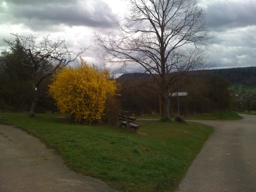 Essigberg und Unterer Wald bei Dietlingen