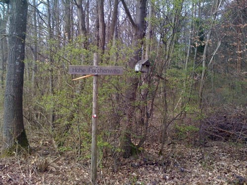 Essigberg und Unterer Wald bei Dietlingen
