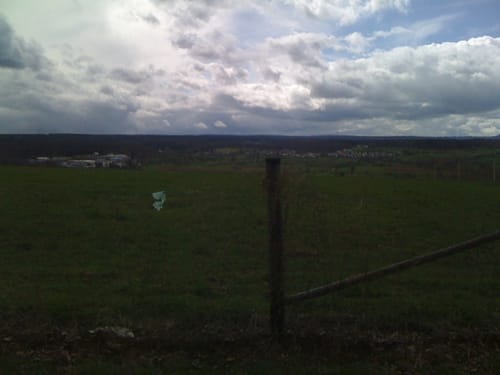 Essigberg und Unterer Wald bei Dietlingen