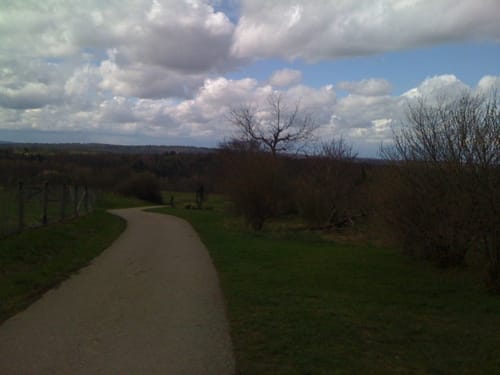 Essigberg und Unterer Wald bei Dietlingen