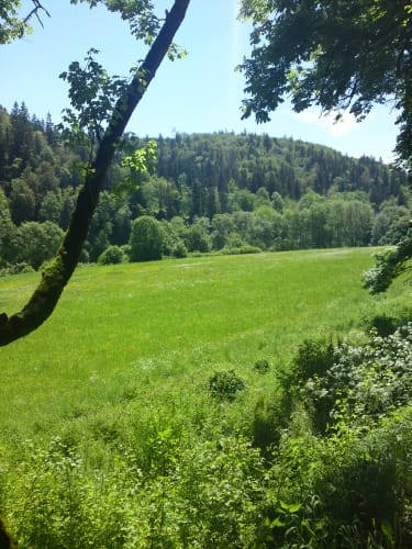 Von Zwiefalten ins Glastal