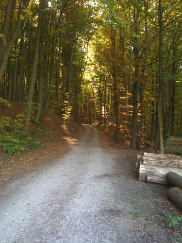Hersbrucker Rundweg Nr. 4