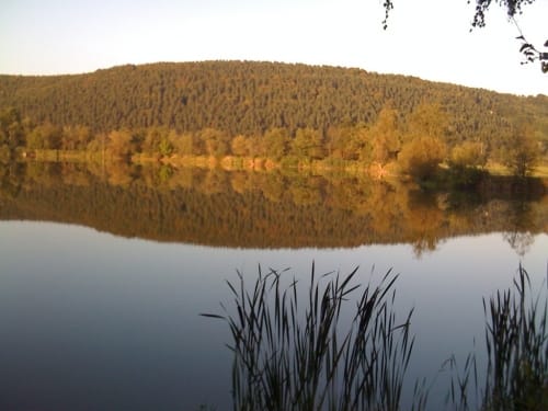 Limmersdorfer Forst-Hohe Warte-Harsdorf Runde
