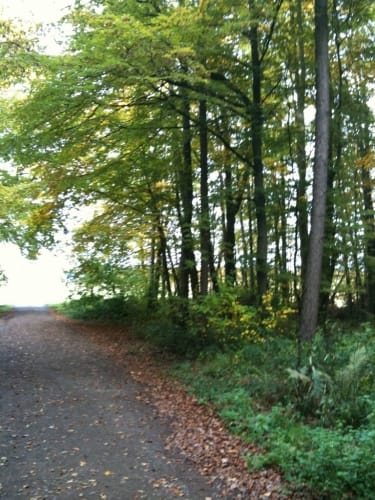 Runde bei Altheim