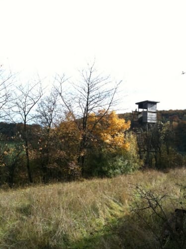 Runde bei Altheim