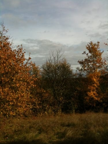Runde bei Altheim