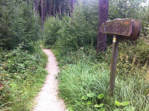 Ungerthal: Rundwanderung Quellen-Weg