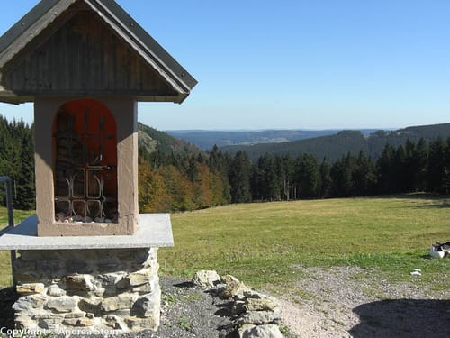 Rennsteig Etappe 4: Grenzadler -Allzunah
