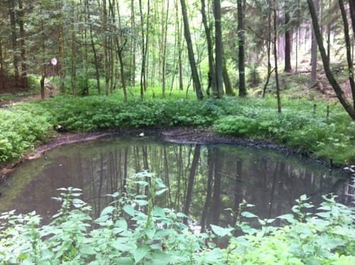 Ungerthal: Rundwanderung Quellen-Weg