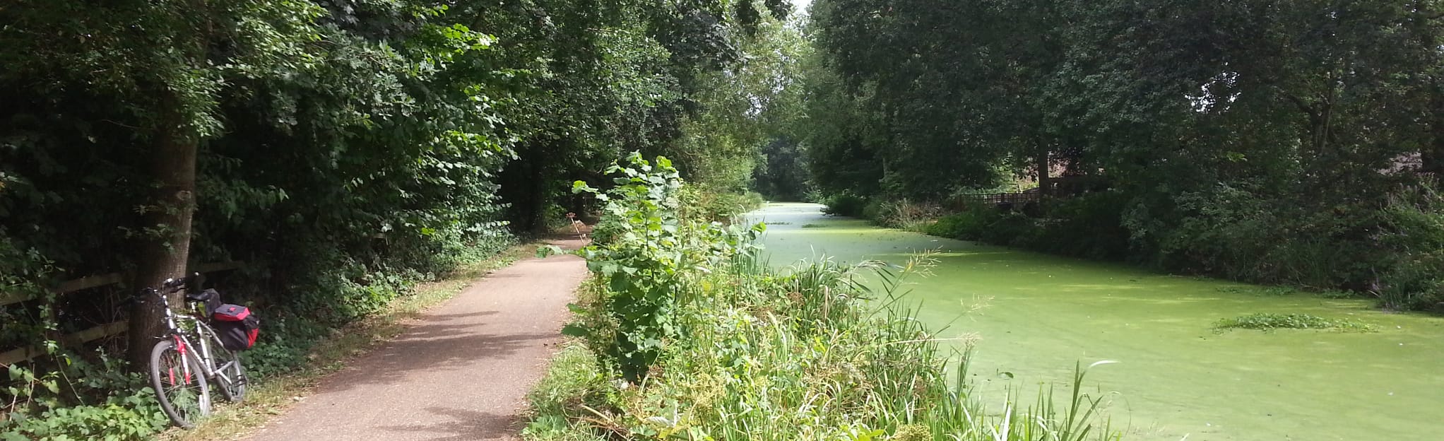 Basingstoke Canal Trail Surrey, England AllTrails