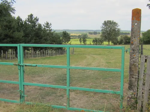 Best Wildlife Trails in Bardou AllTrails