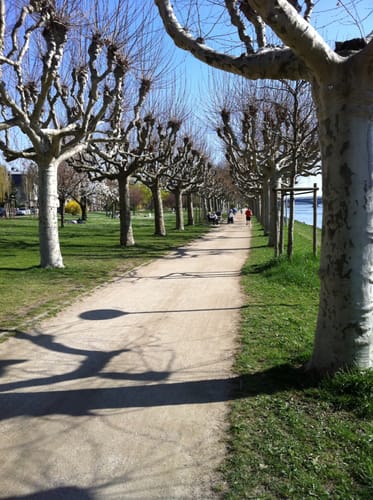 Von Mainz nach Bad Schwalbach