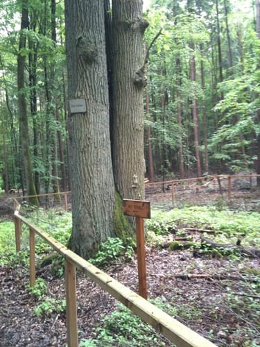 Hosler Jugendwanderweg