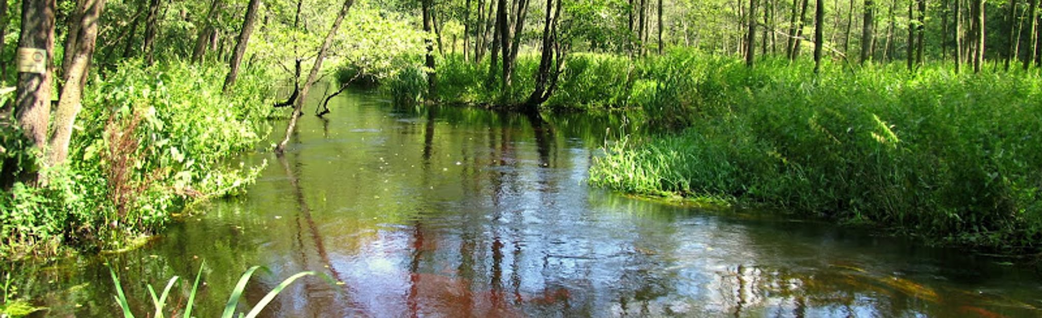 Królewskie Źródła Educational Trail, Masovian Voivodeship, Poland Map