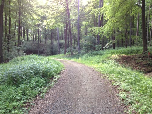 Nordmannsturm und Alte Taufe ab Nienstedt