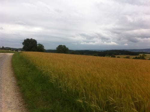 Um Markelfinger Winkel und Gnadensee