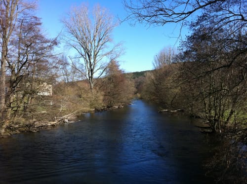 Kuhkopfsteig-Weg 23