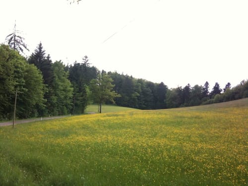 Von Althütte zum Ebnisee