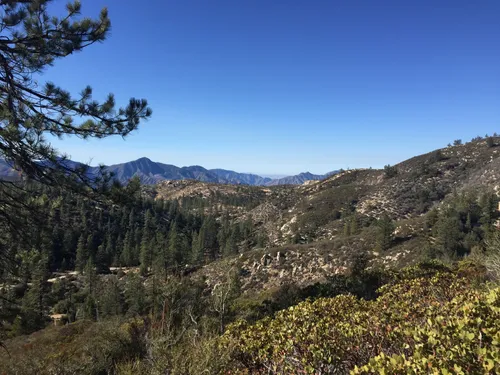 Best 10 Hiking Trails in San Gabriel - EyJidWNrZXQiOiJhc3NldHMuYWxsdHJhaWxzLmNvbSIsImtleSI6InVwbG9hZHMvcGhvdG8vaW1hZ2UvMTQ5NzQ4NzYvZDhjNDRiODAyYTJlNzZiMGNhMGI0MGQ1ZDNiZjJmNGYuanBnIiwiZWRpdHMiOnsidG9Gb3JtYXQiOiJ3ZWJwIiwicmVzaXplIjp7IndpZHRoIjo1MDAsImhlaWdodCI6NTAwLCJmaXQiOiJpbnNpZGUifSwicm90YXRlIjpudWxsLCJqcGVnIjp7InRyZWxsaXNRdWFudGlzYXRpb24iOnRydWUsIm92ZXJzaG9vdERlcmluZ2luZyI6dHJ1ZSwib3B0aW1pc2VTY2FucyI6dHJ1ZSwicXVhbnRpc2F0aW9uVGFibGUiOjN9fX0=