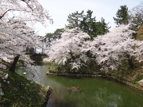 【サボ　行先板】 秋 田 FOR AKITA✕弘前FOR HIROSAKI Best hikes and trails in Hirosaki | AllTrails