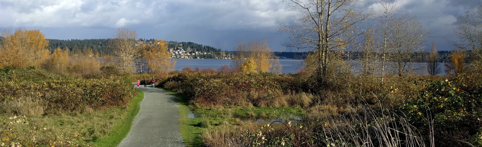 Magnuson Park Waterfront Trail 263 Reviews, Map Washington AllTrails