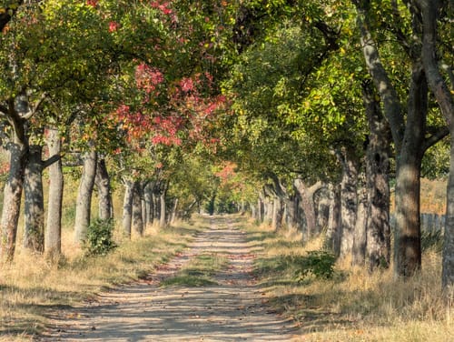 Ahrensfelde Rundweg
