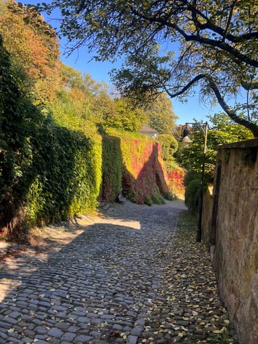 Stadtspaziergang Marburg: Oberstadt und Schlosspark