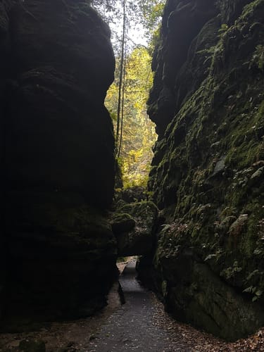 Durch den Uttewalder Grund zum Teufelsgrund