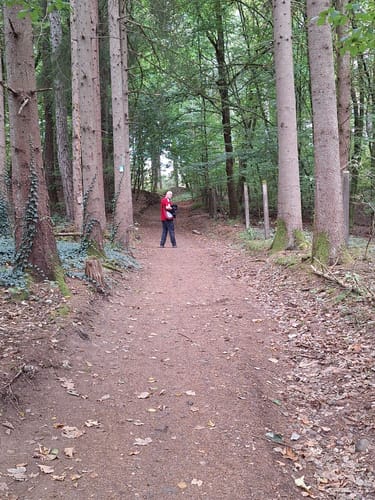 Noswendel Seeblick