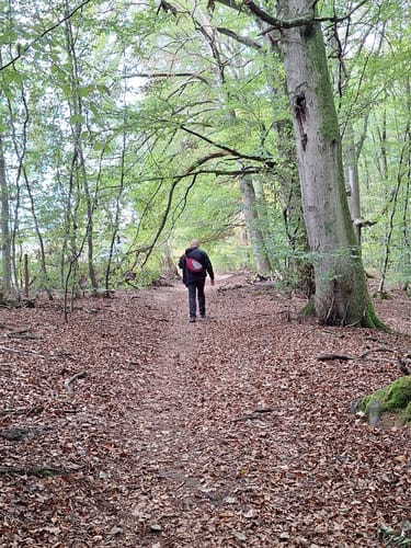 Noswendel Seeblick