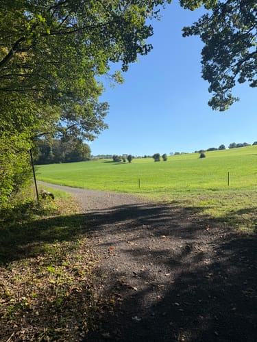 Druidensteig Etappe 6: Steinebach - Hachenburg