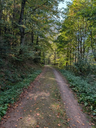 Baden-Baden - Merkur - Burg Alt Eberstein