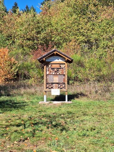 Garten-Wellness-Runde (Traumschleifchen)