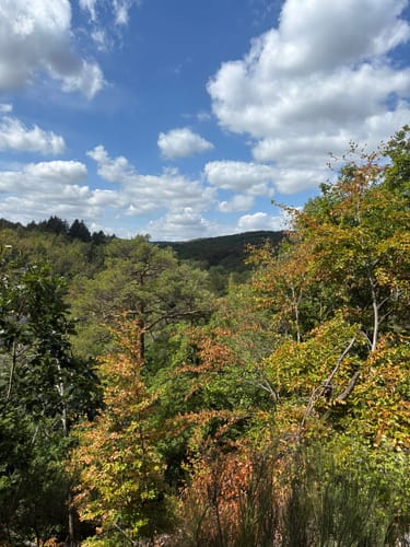 Kirchheimbolanden: Schillerhainrundweg 7