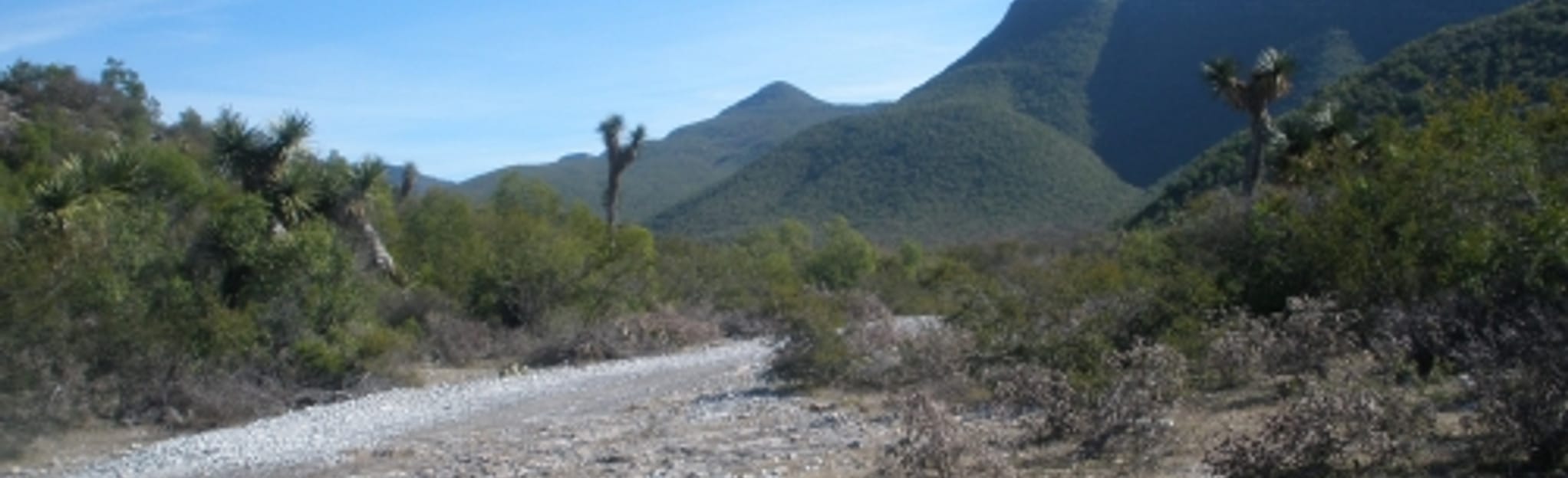 Circuito Higueras, 28 Fotos Nuevo León, Mexico AllTrails