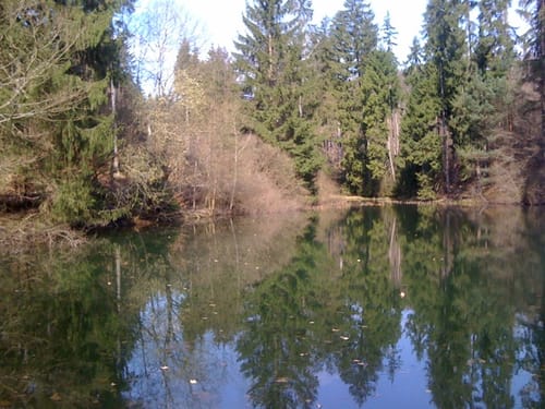 Echterspfahl - Weibersbrunn
