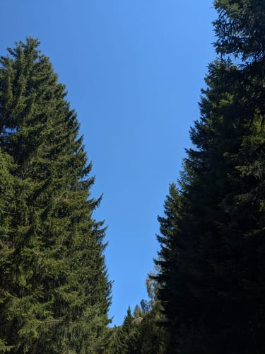 Dollbergschleife (Traumschleife)