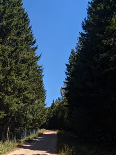 Dollbergschleife (Traumschleife)