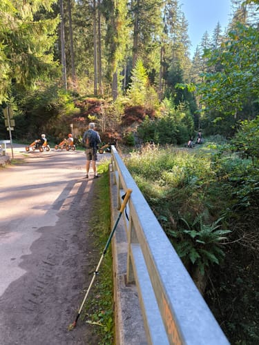 Rötenbachschlucht (Genießerpfad)