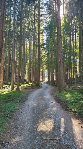 Keiler-Rundweg