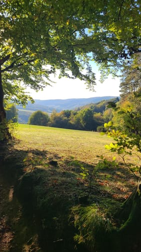 Keiler-Rundweg