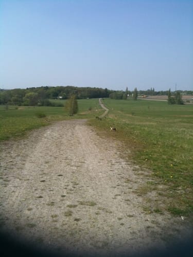 Herzogsberge bei Cremlingen