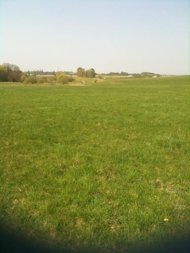 Herzogsberge bei Cremlingen