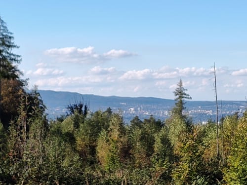 Wellerode Rundweg 19
