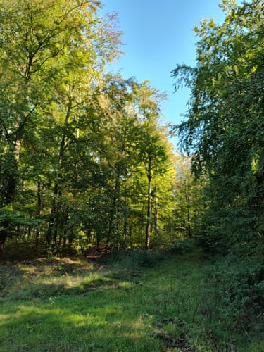 Wellerode Rundweg 19
