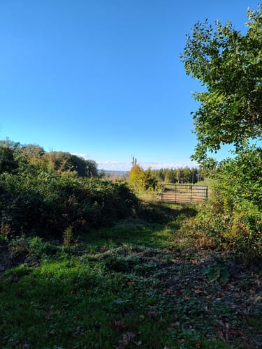 Wellerode Rundweg 19