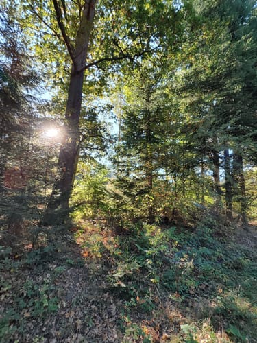 Wellerode Rundweg 19